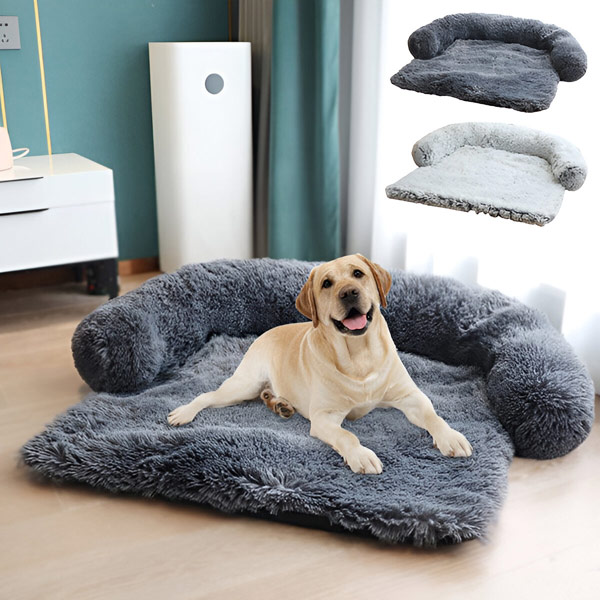 PAWNEST