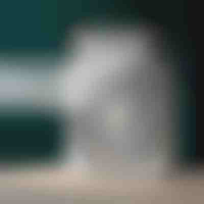 Condizionatore d'aria portatile | FRIOZA