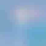 Pulitore per finestre | WINDCLEAN