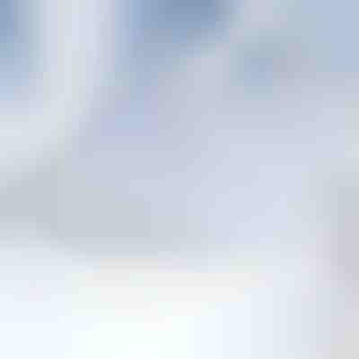 Copertura magnetica per parabrezza contro la neve | FROSTCOVER