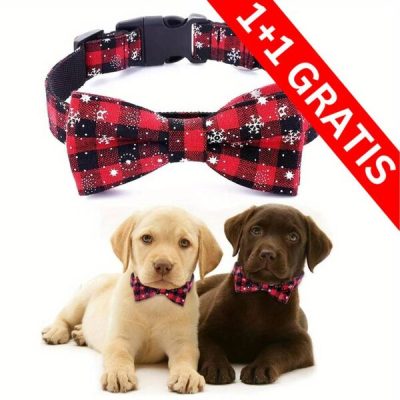 2 x Collare per cani con fiocchi di neve | DOGICOLLAR