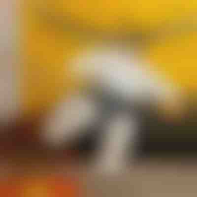 Costume da sumo gonfiabile | SUMOCOS